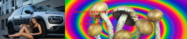 PSILOCYBIN Богородск